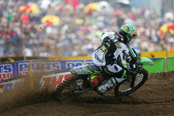 thumb_villopoto_red_bud